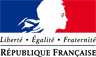 french government